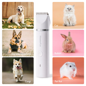 Transform Grooming Into Precious Moments Together